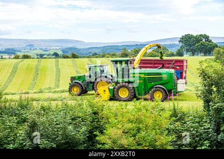 Cueillette de l'herbe pour la fabrication d'ensilage avec un tracteur John Deere 6130R et une ensileuse John Deere 7450 à Irthington, Cumbria, Angleterre, Royaume-Uni Banque D'Images