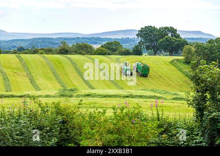 Cueillette de l'herbe pour la fabrication d'ensilage avec un tracteur John Deere 6130R et une ensileuse John Deere 7450 à Irthington, Cumbria, Angleterre, Royaume-Uni Banque D'Images