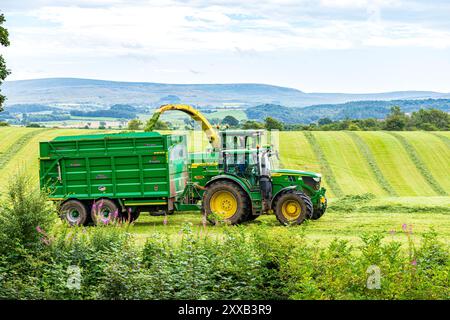 Cueillette de l'herbe pour la fabrication d'ensilage avec un tracteur John Deere 6130R et une ensileuse John Deere 7450 à Irthington, Cumbria, Angleterre, Royaume-Uni Banque D'Images