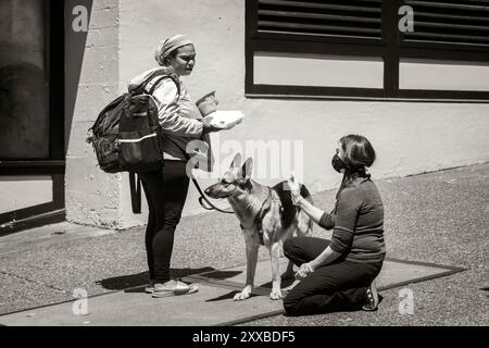 ARC-0133-BW...... WASHINGTON - Penelope Protheroe d'Angel Resource Connection parle avec une femme sans abri de l'endroit où trouver de la nourriture pour son chien. Banque D'Images