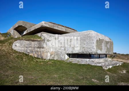 Regelbau M 162a, bunker allemand de la seconde Guerre mondiale, partie de Stützpunktgruppe Frederikshavn Süd ; Pikkerbakken, Frederikshavn, Danemark Banque D'Images