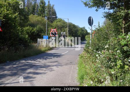 Route des fontaines où l'A.O.C.L. Automatic open Level Crossing sur le Tondu à Port Talbot voies très envahies mais potentiellement pas au-delà de la ré-utilisation. Banque D'Images