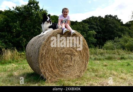 Amusement en famille sur la frontière de la ferme chien Collie et enfant sur la balle de foin Shropshire, Angleterre, Grande-Bretagne, Royaume-Uni Banque D'Images