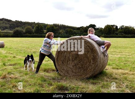 Amusement en famille à la ferme Shropshire, Angleterre, Grande-Bretagne, Royaume-Uni Banque D'Images