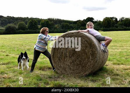 Amusement en famille à la ferme Shropshire, Angleterre, Grande-Bretagne, Royaume-Uni Banque D'Images