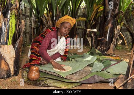 Femme de l'ethnie Dorze préparant la pâte à pain Kocho à partir de feuilles de banane abyssinienne (Ensete ventricosum), près d'Arba Minch, dans le sud de l'Eth Banque D'Images