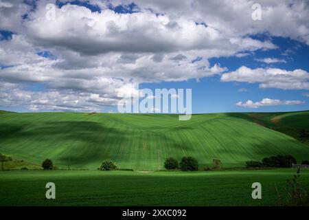 Aberdeen : Schottisches Grün.- Sanfte Hügel und saftige Felder prägen die Landschaft in den schottischen Highlands nordwestlich von Aberdeen. Aberdeen Banque D'Images