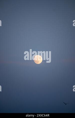 Pleine lune sur l'île Sainte-Marguerite près de Cannes, sur la Côte d'Azur Banque D'Images