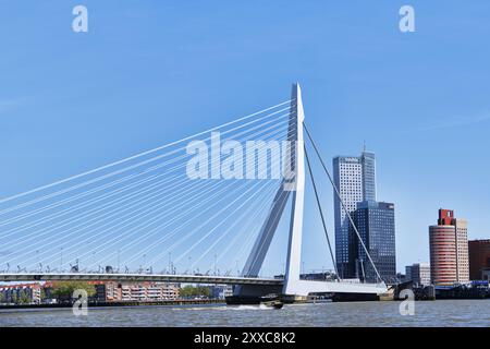 Rotterdam, pays-Bas - 10 avril 2024 : vue du pont Erasmus, Erasmusbrug Banque D'Images