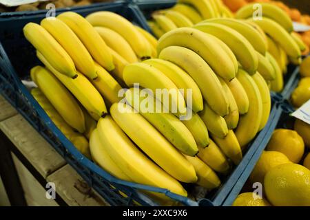 Bananes fraîches dans des boîtes en plastique sur le grand marché Banque D'Images