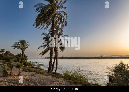 Rive est du Nil, palmiers, soirée, coucher de soleil, centre-ville, Louxor, Egypte, Afrique du Nord, Afrique Banque D'Images
