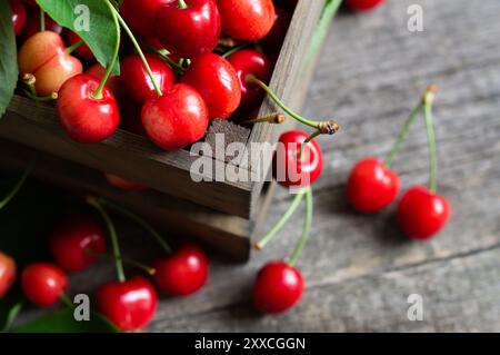 Gros plan cerises rouges mûres fraîches dans le panier sur fond en bois, tas de concept de fruits d'été Banque D'Images