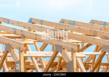 Les fermes en bois sont visiblement disposées et sécurisées, présentant des éléments structurels de la construction de toit en cours avec un fond de ciel bleu vif. Banque D'Images
