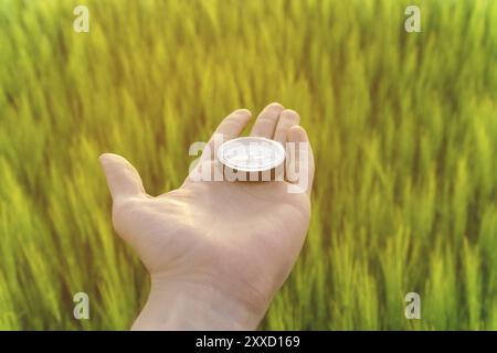 Trouver une direction dans la nature sur un champ de blé. La main d'un homme tient un compas Banque D'Images
