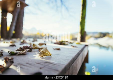 Feuilles colorées couchée sur une passerelle, paysage d'automne flou en arrière-plan Banque D'Images