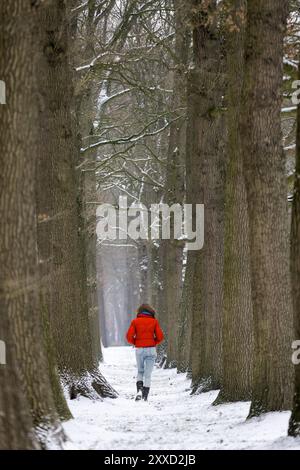 Femme marchant à travers une étroite avenue d'arbres, pays-Bas Banque D'Images