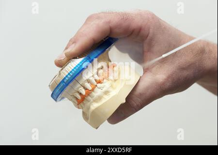 Nettoyage du modèle de prothèse fini Banque D'Images