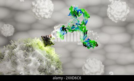 Illustration du pembrolizumab (commercialisé sous le nom de Keytruda), un médicament qui traite divers types de cancers. Le pembrolizumab est un anticorps thérapeutique qui se lie à la protéine 1 de mort cellulaire programmée (PD-1) située sur les globules blancs des lymphocytes et qui bloque cette protéine. Banque D'Images