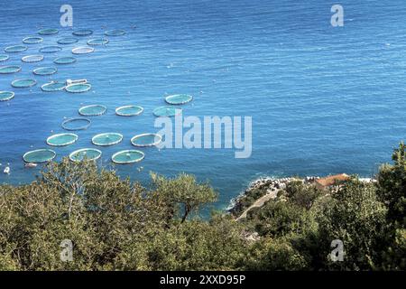 Ferme de poissons de mer avec cages à cercle flottant et littoral en Grèce, vue aérienne Banque D'Images