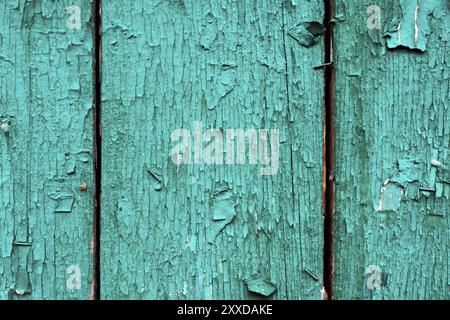 Vieilles planches avec peinture cyan fissurée. Vieux fond en bois texturé avec des lignes verticales. Planches en bois cyan rapprochées pour votre conception. Vert-bleu beaucoup de t Banque D'Images