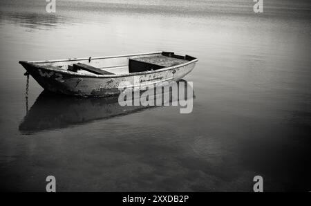 Bateau à rames sur un lac calme avec réflexion Banque D'Images