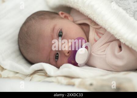 Portrait de bébé nouveau-né, belle sucette enfant nouveau-né, enfant de quatre semaines Banque D'Images