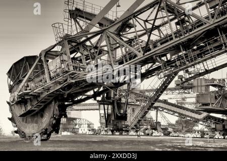 Vieille pelle à charbon dans la mine de lignite à ciel ouvert Ferropolis désaffectée Banque D'Images