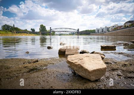 Rive de l'Elbe au rocher de la cathédrale à Magdebourg à marée basse Banque D'Images