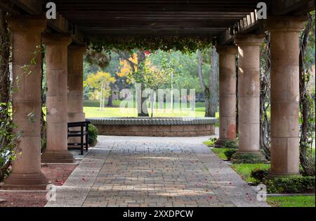 colonnes tapissant le chemin dans le jardin avec des fleurs roses Banque D'Images