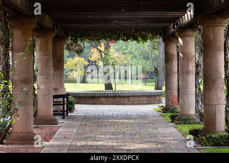 colonnes tapissant le chemin dans le jardin avec des fleurs roses Banque D'Images