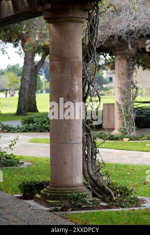 colonnes tapissant le chemin dans le jardin avec des fleurs roses Banque D'Images