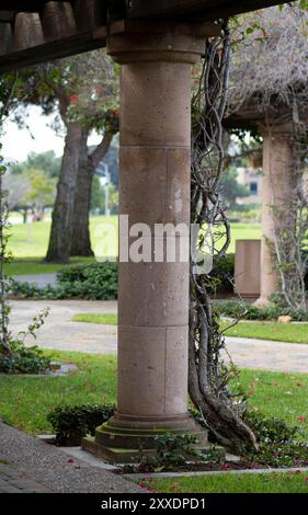 colonnes tapissant le chemin dans le jardin avec des fleurs roses Banque D'Images