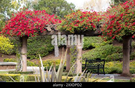 colonnes tapissant le chemin dans le jardin avec des fleurs roses Banque D'Images