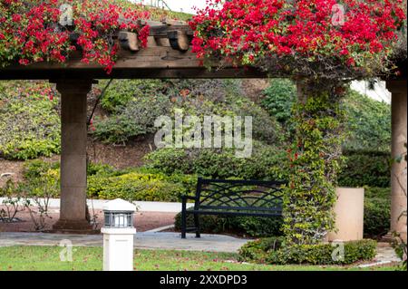 colonnes tapissant le chemin dans le jardin avec des fleurs roses Banque D'Images