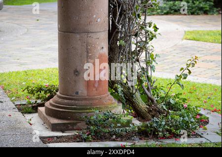 colonnes tapissant le chemin dans le jardin avec des fleurs roses Banque D'Images