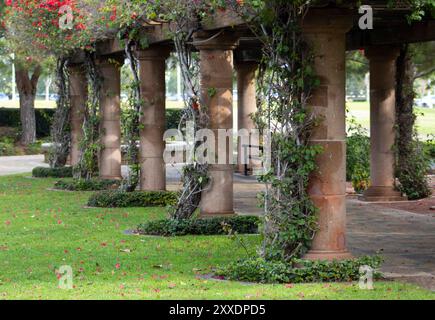 colonnes tapissant le chemin dans le jardin avec des fleurs roses Banque D'Images