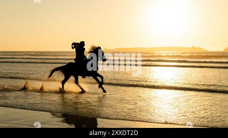 Silhouette d'un cheval et de son cavalier non identifié sur la plage d'Essaouira au coucher du soleil, Maroc, capturant un moment de tranquillité sur la côte. Banque D'Images