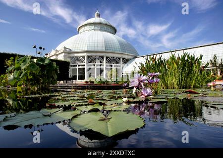 Bronx, New York, USA, 31 juillet 2005 : Bronx Botanical Garden.. Banque D'Images