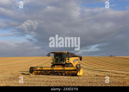 Une moissonneuse-batteuse New Holland CX8.85 stationnée dans un champ d'orge récemment récolté près du village de Catterline dans l'Aberdeenshire. Banque D'Images