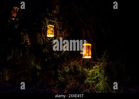 Une scène nocturne captivante avec des lanternes brillantes suspendues à un arbre, créant une ambiance chaleureuse et enchanteresse avec leur douce lueur. Banque D'Images