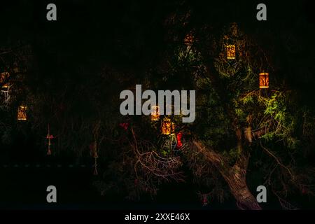 Une scène nocturne captivante avec des lanternes brillantes suspendues à un arbre, créant une ambiance chaleureuse et enchanteresse avec leur douce lueur. Banque D'Images