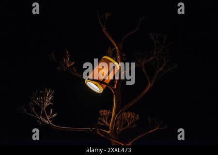 Une scène nocturne captivante avec des lanternes brillantes suspendues à un arbre, créant une ambiance chaleureuse et enchanteresse avec leur douce lueur. Banque D'Images