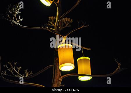 Une scène nocturne captivante avec des lanternes brillantes suspendues à un arbre, créant une ambiance chaleureuse et enchanteresse avec leur douce lueur. Banque D'Images