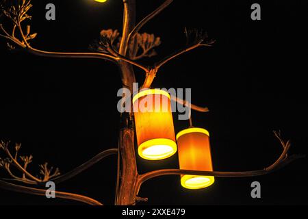 Une scène nocturne captivante avec des lanternes brillantes suspendues à un arbre, créant une ambiance chaleureuse et enchanteresse avec leur douce lueur. Banque D'Images