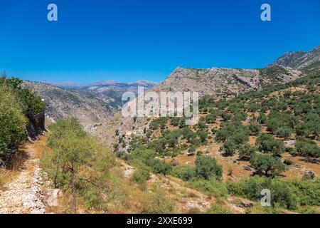 Caché dans les collines derrière la côte, entre les plages populaires de Porto Palerme et Borsh, Upper Qeparo est un joyau caché sur la Riviera albanaise. Supérieur Banque D'Images