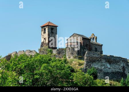 Château de Saint-Ilpize perché sur un pic volcanique au-dessus de la rivière Allier. Haute-Loire. Auvergne-Rhône-Alpes. France Banque D'Images