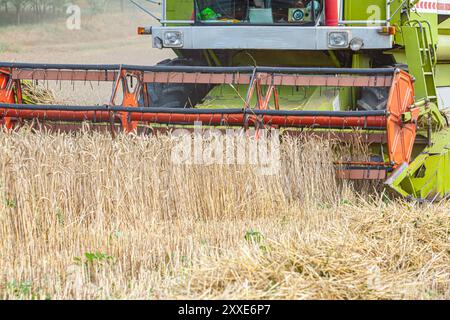 Perry Green, Much Hadham, Hertfordshire. ROYAUME-UNI. 24 août 2020. Moissonneuse-batteuse pour la récolte dans un champ. Banque D'Images