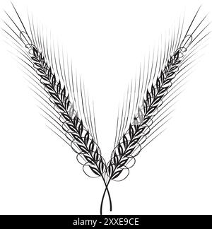 Céréales, orge de seigle et épis de blé. Concept de boulangerie. Illustration vectorielle d'esquisse dessinée à la main Illustration de Vecteur