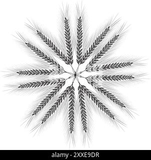 Céréales, orge de seigle et épis de blé. Concept de boulangerie. Illustration vectorielle d'esquisse dessinée à la main Illustration de Vecteur