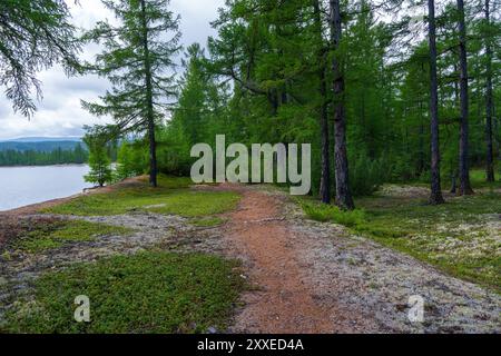 Un étroit chemin de terre serpente à travers une forêt verdoyante, menant à un bord de lac tranquille sous un ciel nuageux, créant un cadre paisible et naturel. Banque D'Images